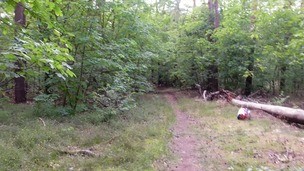 Harleen Van Hynten enjoys sex in the outdoors and gets a facial OTS478 screenshot