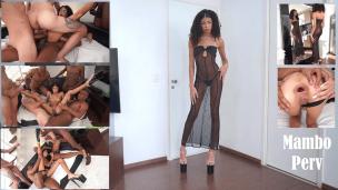 1.90m slim Japanese-Brazilian beauty, OB Honey first gangbang by 5 huge cocks (DAP, Anal, Triple anal attempt, huge gapes, bbc, monster cocks) OB380 - AnalVids screenshot